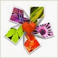 ArcSoft Photo+