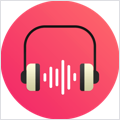 AudFree Auditior
