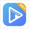 AVAide MKV Converter
