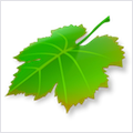 Breeze