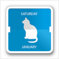 Cal Cat
