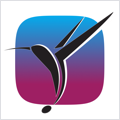 Colibri