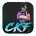 Cyber Knights Flashpoint