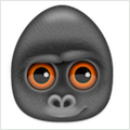 Debookee