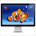 Aquarium Live HD
