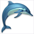 Dolphins 3D