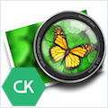 Focus CK
