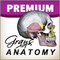 Gray's Anatomy Premium Edition