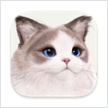inZOI 0.9.4 Early Access