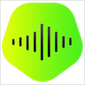 KeepVid Music