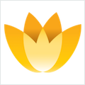 Magic Flowers