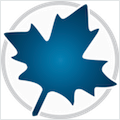 Maple