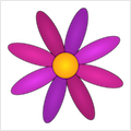 Menstrual Period Tracker