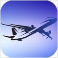 Mini Airways