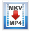 MKV2MP4