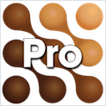 mocha Pro