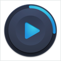Music Paradise Player