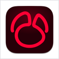 Navicat for Oracle