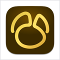Navicat Premium