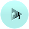 NetworkPlayer