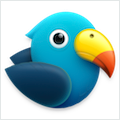 Parrot