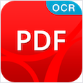PDF Converter with OCR