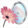 PhotoReflector
