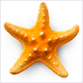 Sandy Beach 3D