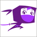 Screensaver Ninja