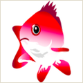 Snapper