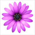 TextMate