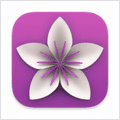 Vellum