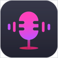 ViWizard Audio Capture