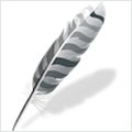 Wing IDE Professional