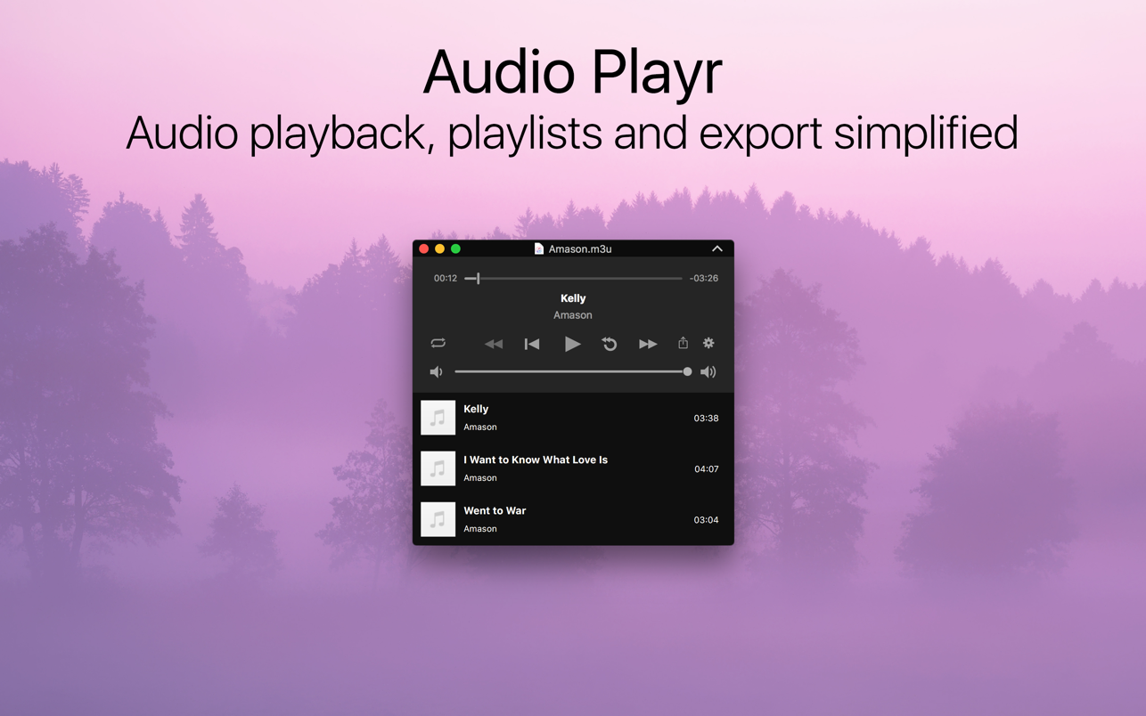 Audio Playr 截图