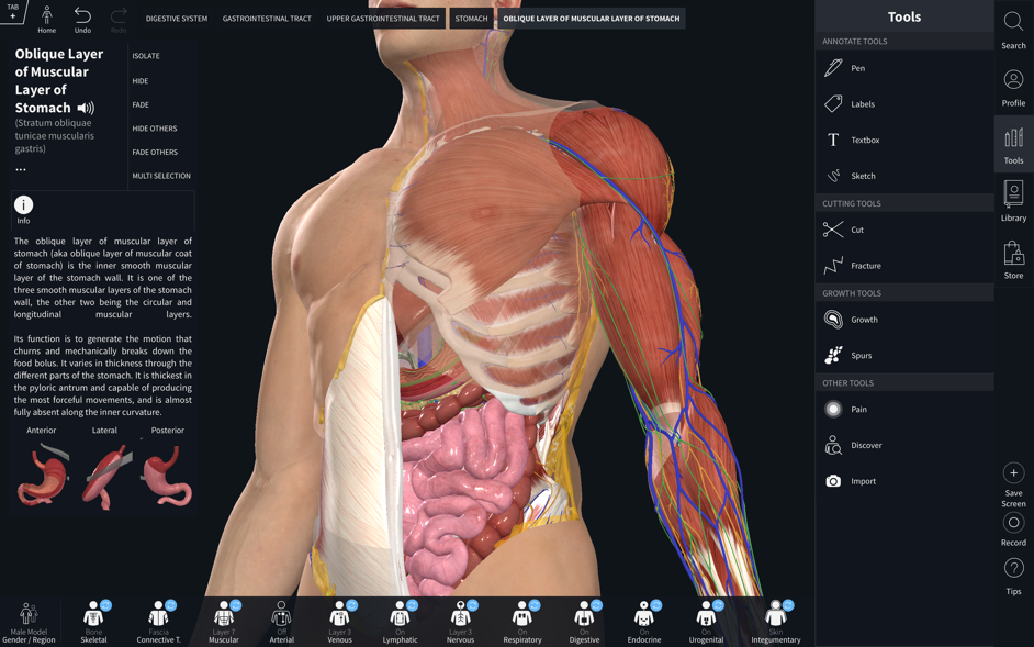 Complete Anatomy 2019 截图