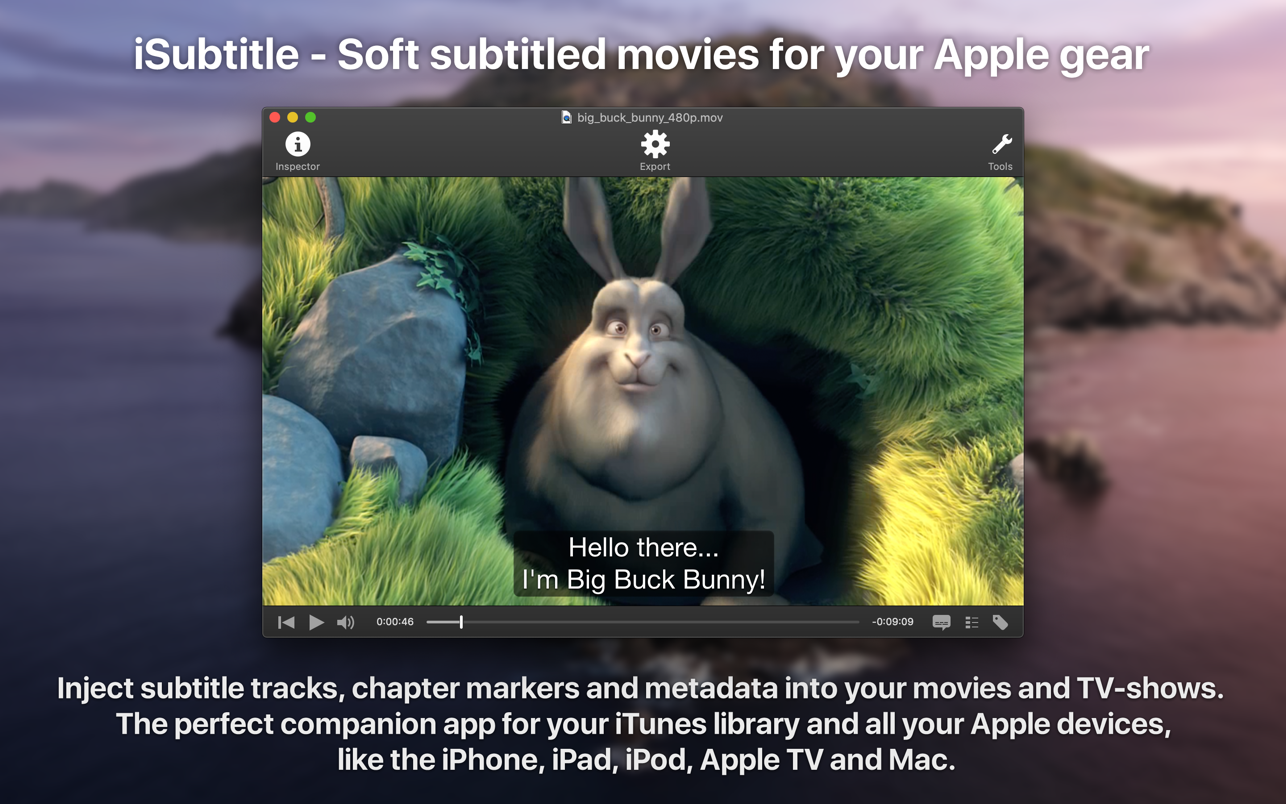 iSubtitle 截图