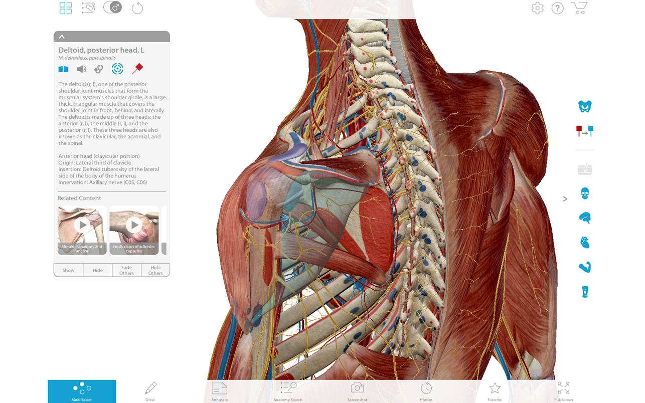 Muscle Premium 截图