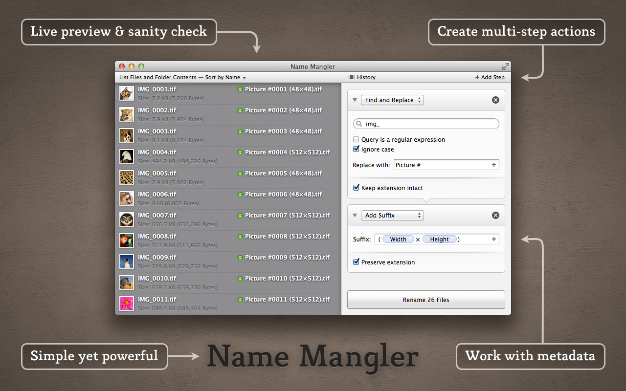 Name Mangler 截图