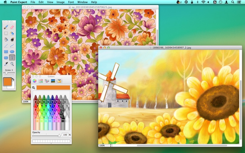 Paint Expert 截图