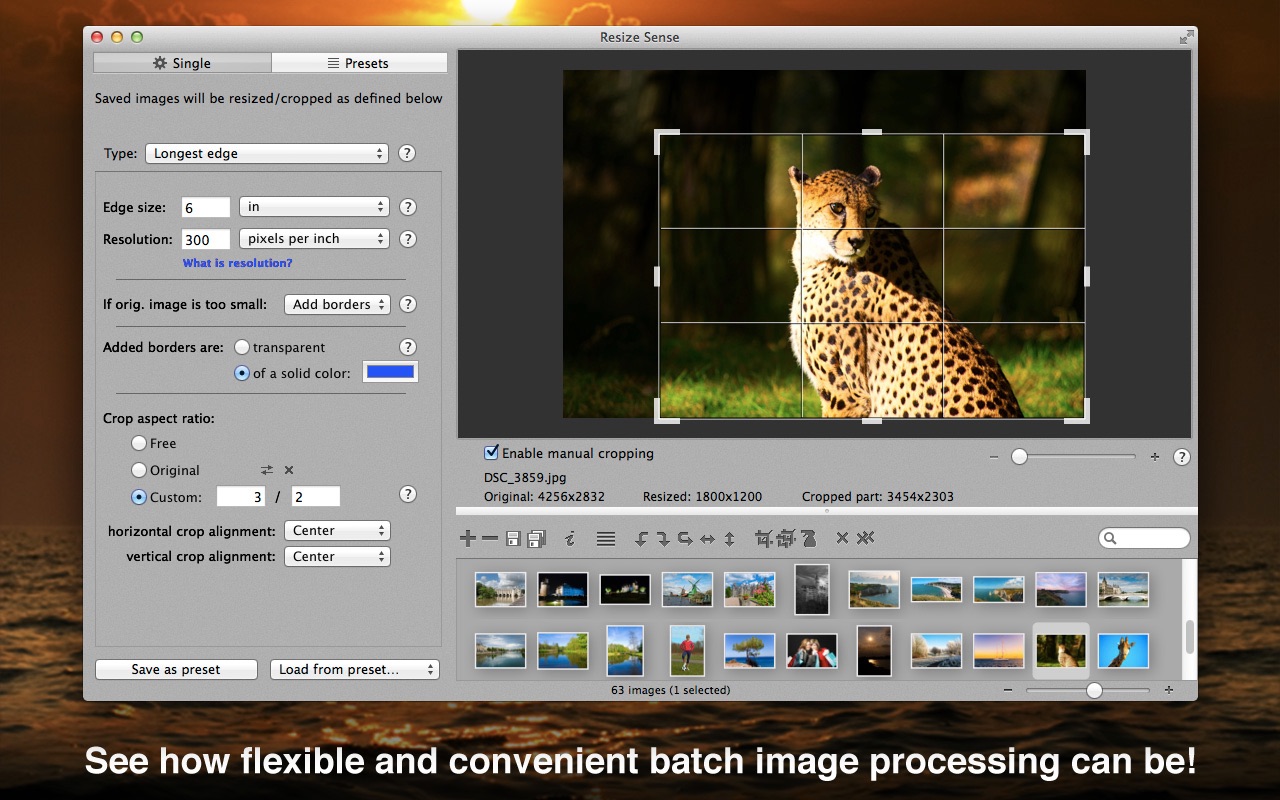 Resize Sense 截图