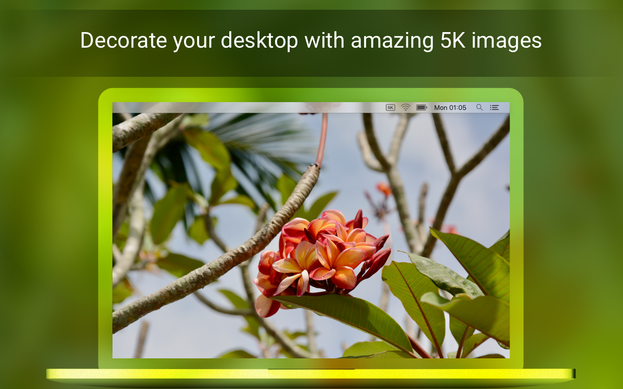 Retina 5K Wallpaper Set 截图